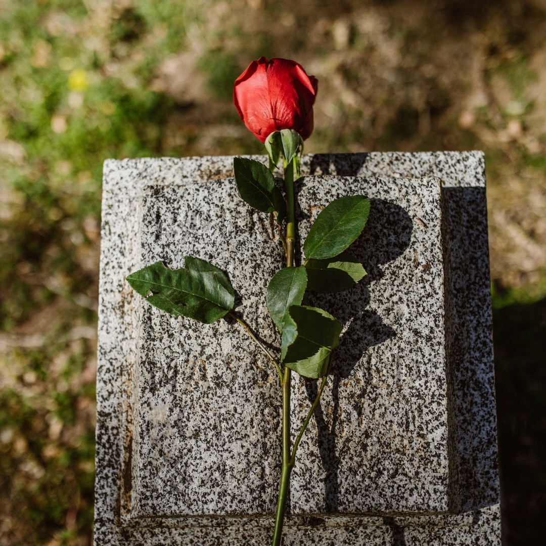 Crematório em São Caetano do Sul: A Despedida que Honra a Vida